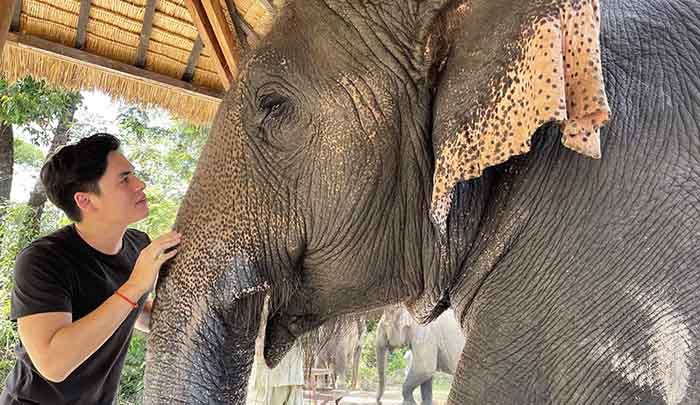 Elephant encounter at Kulen Elephant Forest, Mount Kulen, Cambodia