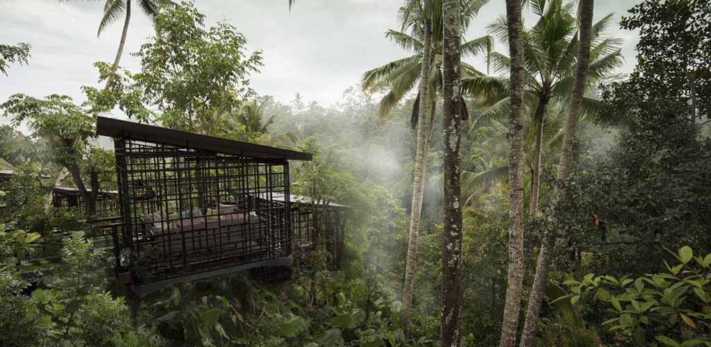 Jungle view at Hoshinoya Bali resort