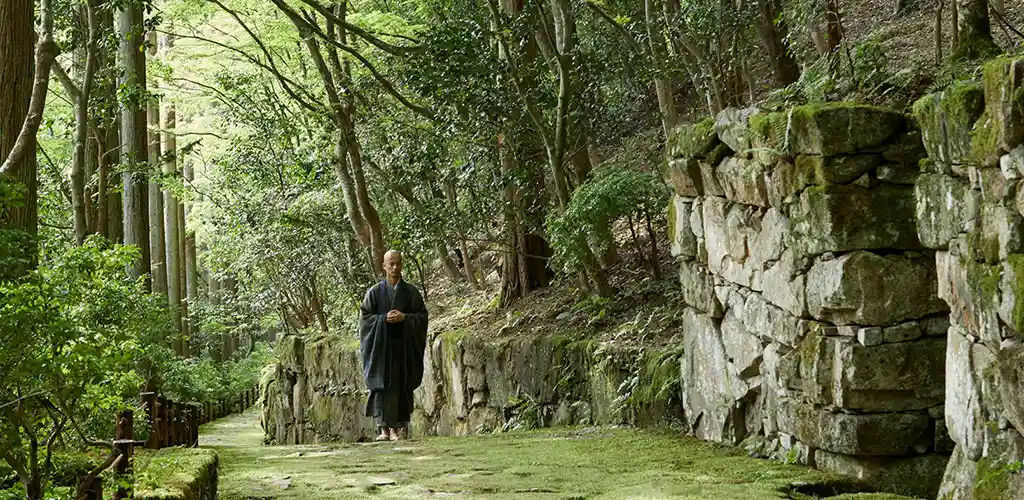Monk walking in Aman secret garden