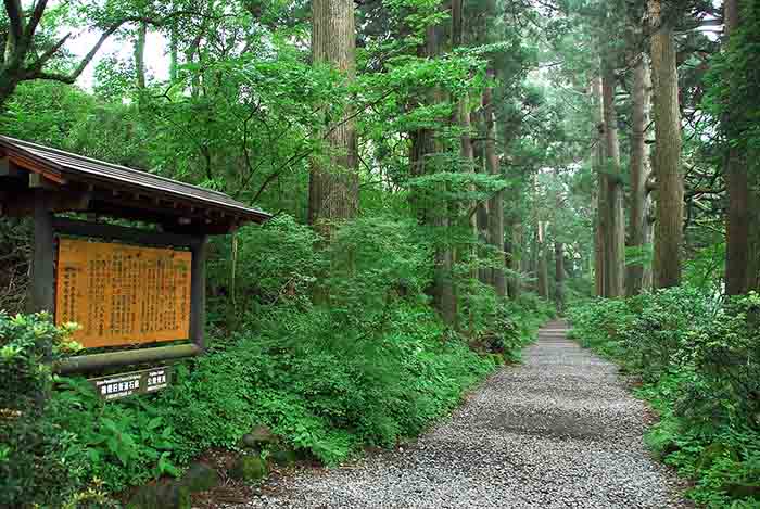 Tokaido trail in Japan