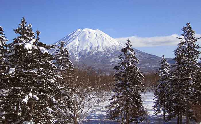Mount Yotei heli skiing