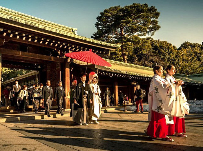 Honeymoon at teh Meiji Shrine in Japan