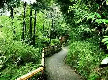 Bamboo trail at Hanafubuki ryokan in Japan