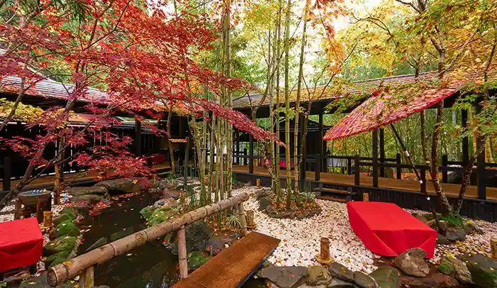 Takefue ryokan bamboo courtyard