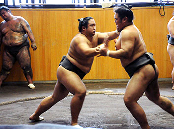 Japanese sumo stable