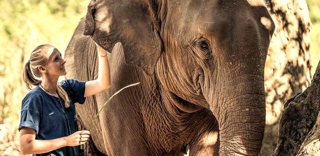 Petting an elephant at Anantara Golden Triangle resort