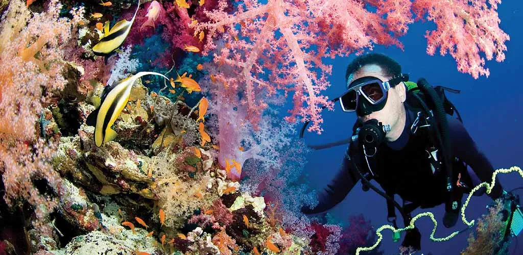 Scuba diving in southern Thailand