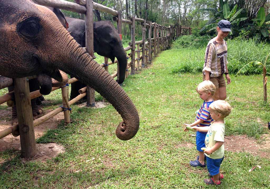 Family elephant camp visit in Thailand