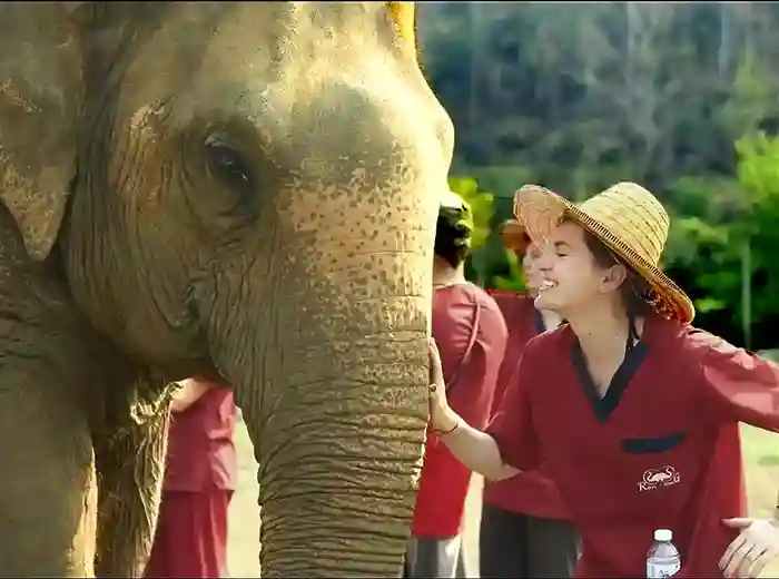 Elephant encounter at Ran Thong elephant sanctuary in Chiang Mai, Thailand.