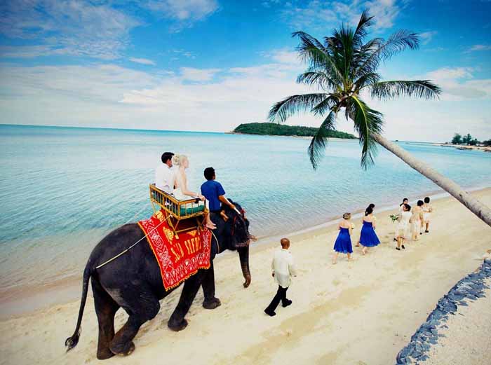 Honeymoon elephant ride on Koh Samui beach