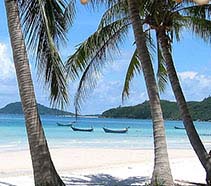 Phu Quoc Island palm-fringed beach