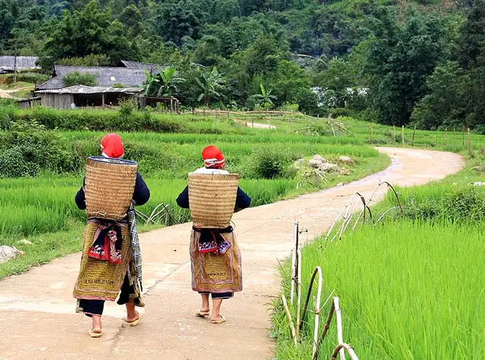 Hill tribe women walking in north Vietnam village