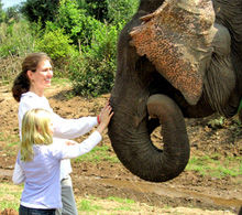 Laos Elephant Camp visitors