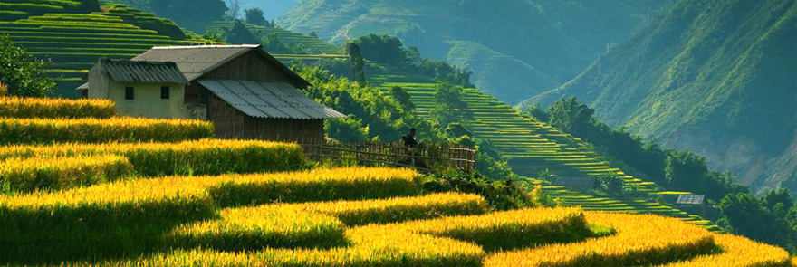 Sapa Sunshine